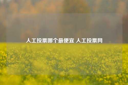 人工投票哪个最便宜 人工投票网