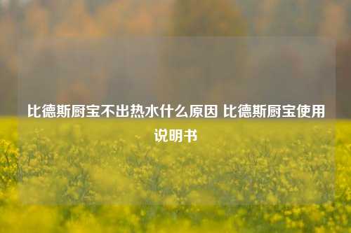 比德斯厨宝不出热水什么原因 比德斯厨宝使用说明书