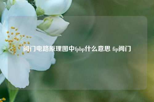 阀门电路原理图中fpbp什么意思 fip阀门