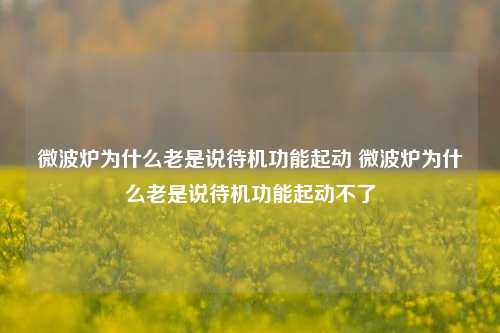 微波炉为什么老是说待机功能起动 微波炉为什么老是说待机功能起动不了