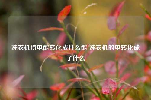 洗衣机将电能转化成什么能 洗衣机的电转化成了什么