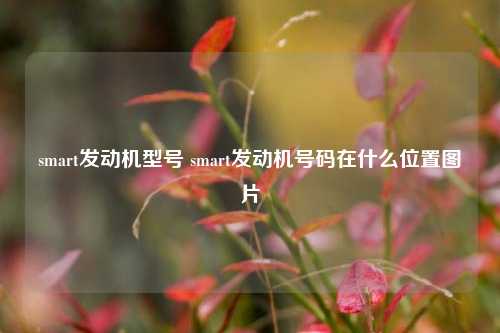 smart发动机型号 smart发动机号码在什么位置图片