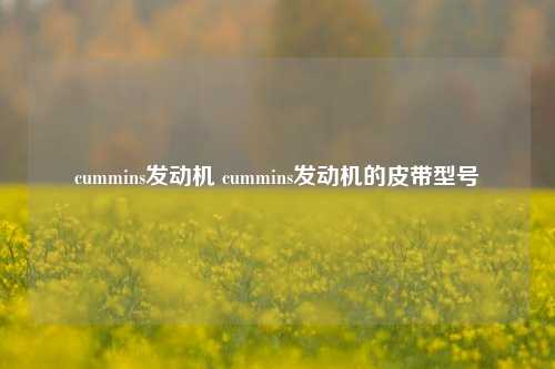 cummins发动机 cummins发动机的皮带型号