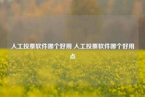 人工投票软件哪个好用 人工投票软件哪个好用点