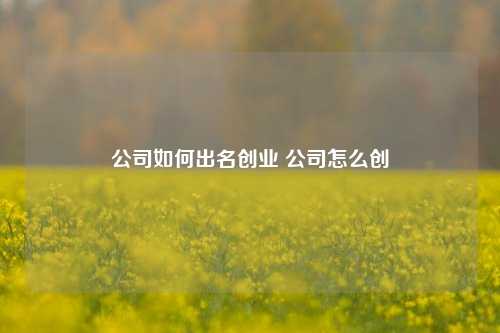 公司如何出名创业 公司怎么创