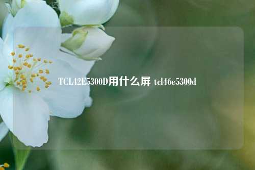 TCL42E5300D用什么屏 tcl46e5300d