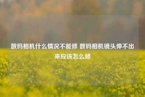 数码相机什么情况不能修 数码相机镜头伸不出来应该怎么修