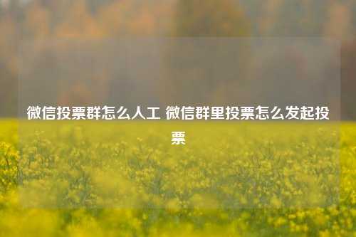 微信投票群怎么人工 微信群里投票怎么发起投票