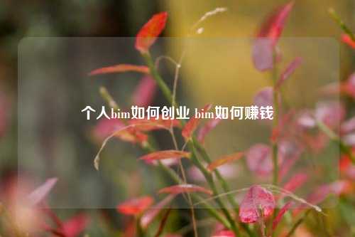 个人bim如何创业 bim如何赚钱