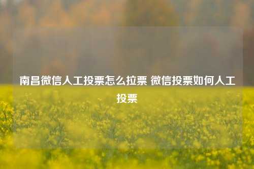 南昌微信人工投票怎么拉票 微信投票如何人工投票