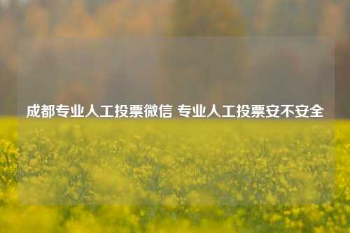 成都专业人工投票微信 专业人工投票安不安全