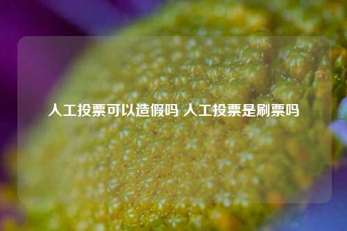 人工投票可以造假吗 人工投票是刷票吗