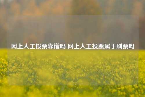 网上人工投票靠谱吗 网上人工投票属于刷票吗