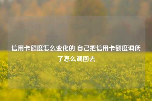 信用卡额度怎么变化的 自己把信用卡额度调低了怎么调回去