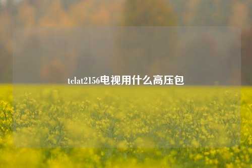 tclat2156电视用什么高压包