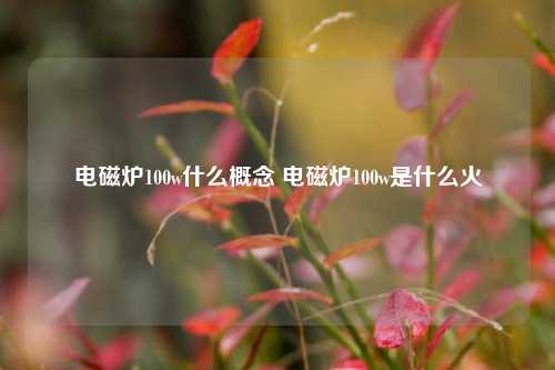 电磁炉100w什么概念 电磁炉100w是什么火