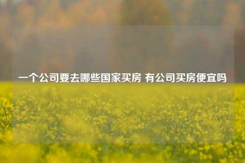 一个公司要去哪些国家买房 有公司买房便宜吗