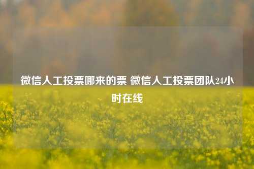 微信人工投票哪来的票 微信人工投票团队24小时在线