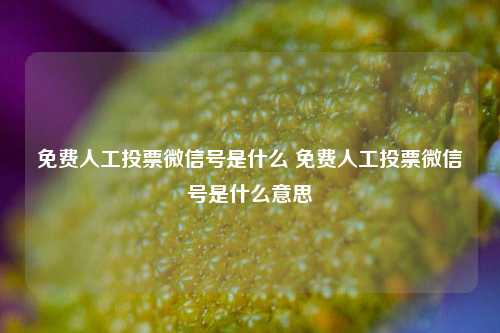 免费人工投票微信号是什么 免费人工投票微信号是什么意思