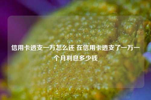 信用卡透支一万怎么还 在信用卡透支了一万一个月利息多少钱