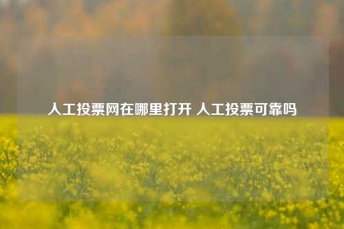 人工投票网在哪里打开 人工投票可靠吗