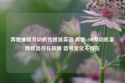 奔驰维修发动机传感器英语 奔驰c200发动机罩传感器存在故障 信号变化不存在