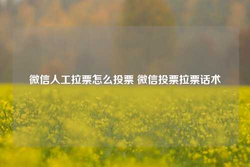 微信人工拉票怎么投票 微信投票拉票话术