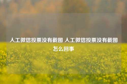 人工微信投票没有截图 人工微信投票没有截图怎么回事