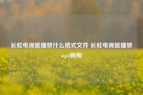 长虹电视能播放什么格式文件 长虹电视能播放mp4视频