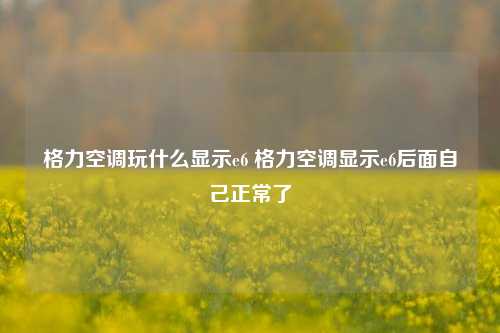 格力空调玩什么显示e6 格力空调显示e6后面自己正常了