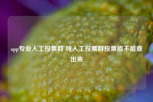 app专业人工投票群 纯人工投票群投票能不能查出来