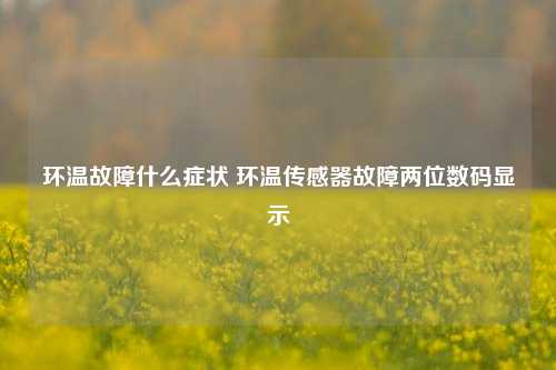 环温故障什么症状 环温传感器故障两位数码显示