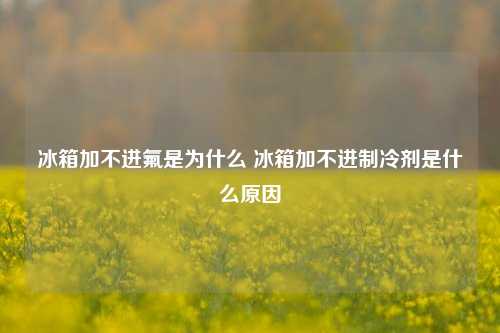 冰箱加不进氟是为什么 冰箱加不进制冷剂是什么原因