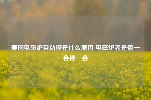 美的电磁炉自动停是什么原因 电磁炉老是煮一会停一会