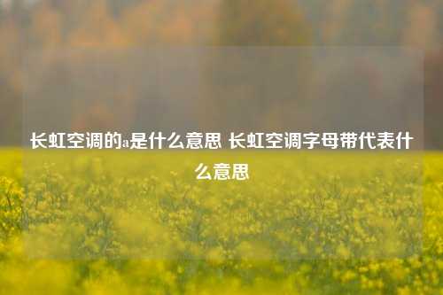 长虹空调的a是什么意思 长虹空调字母带代表什么意思