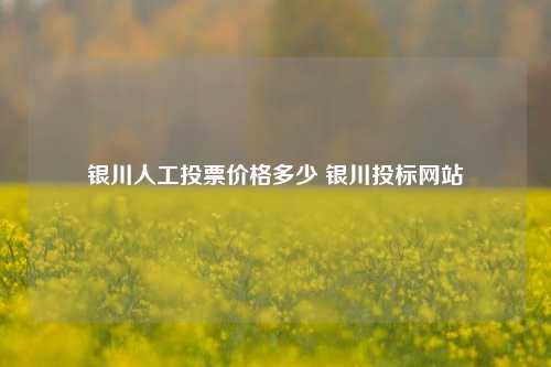 银川人工投票价格多少 银川投标网站