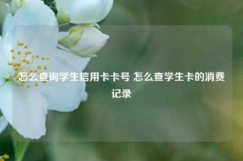 怎么查询学生信用卡卡号 怎么查学生卡的消费记录