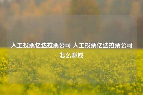 人工投票亿达拉票公司 人工投票亿达拉票公司怎么赚钱