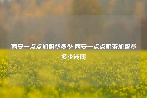 西安一点点加盟费多少 西安一点点奶茶加盟费多少钱啊