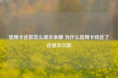 信用卡还款怎么显示余额 为什么信用卡钱还了还显示欠款