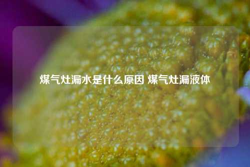 煤气灶漏水是什么原因 煤气灶漏液体