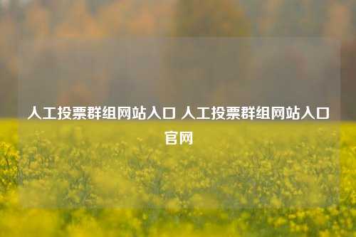 人工投票群组网站入口 人工投票群组网站入口官网