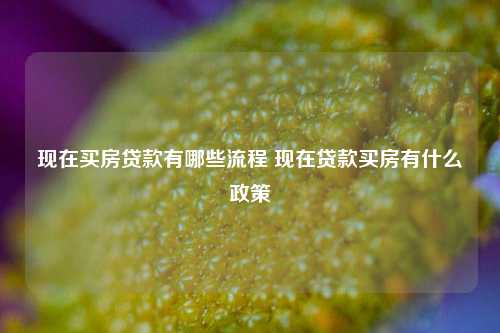 现在买房贷款有哪些流程 现在贷款买房有什么政策