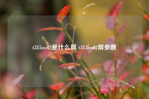 t315xw02是什么屏 t315hw02屏参数