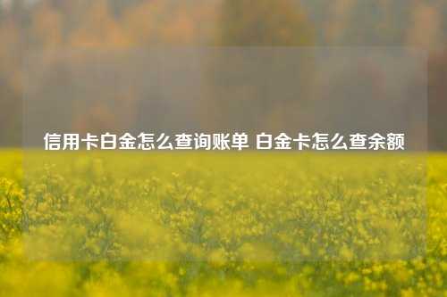 信用卡白金怎么查询账单 白金卡怎么查余额