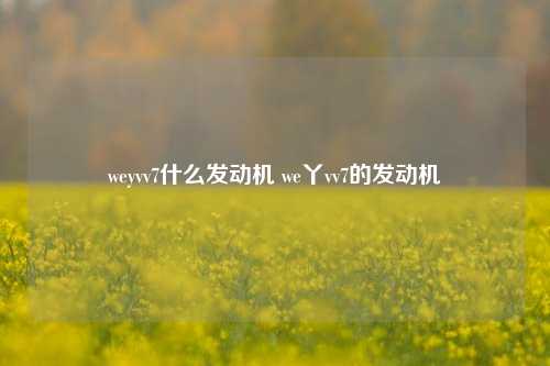 weyvv7什么发动机 we丫vv7的发动机