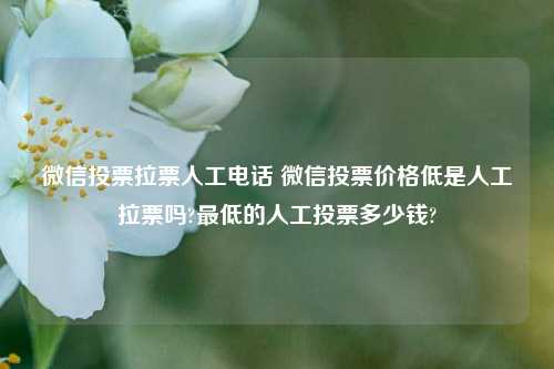 微信投票拉票人工电话 微信投票价格低是人工拉票吗?最低的人工投票多少钱?