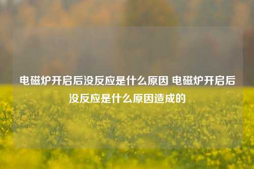 电磁炉开启后没反应是什么原因 电磁炉开启后没反应是什么原因造成的