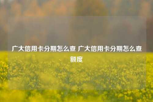 广大信用卡分期怎么查 广大信用卡分期怎么查额度