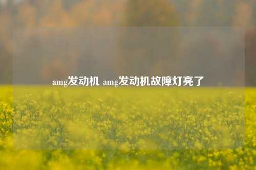 amg发动机 amg发动机故障灯亮了